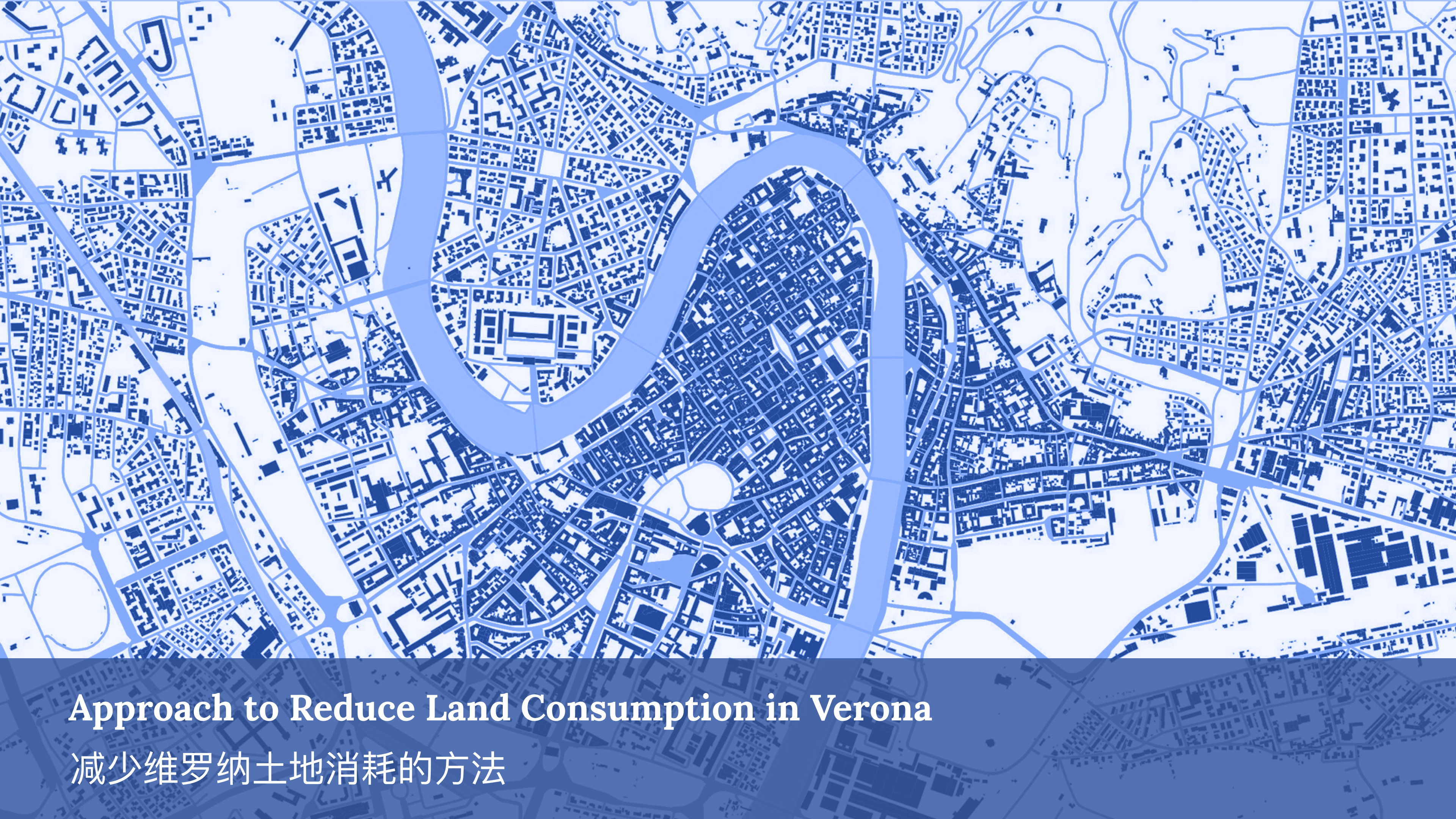 Verona 案例 Frame 50